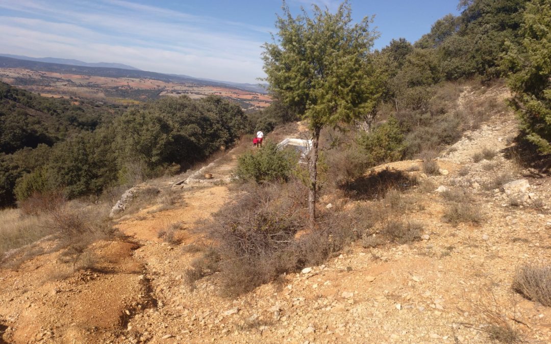 Paseos Naturales: Fuente La Quebrada (Mirabueno-Gu)