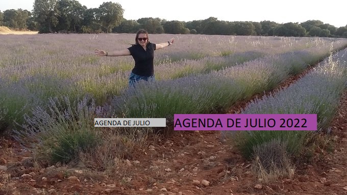 AGENDA en la Maleta : Julio 22 en proceso