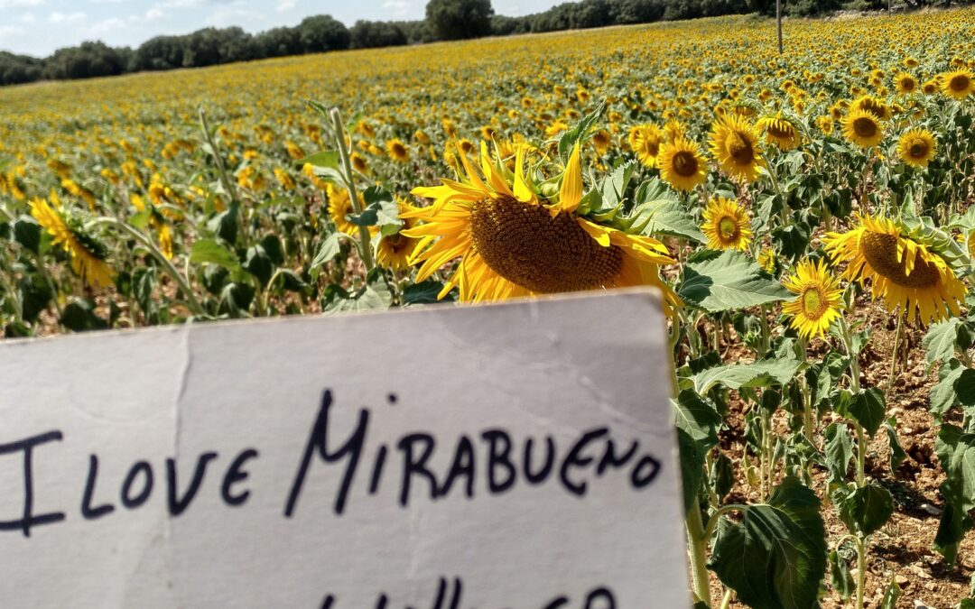 #ChuleadeGuada con sus campos y paisajes             con premio !!!!